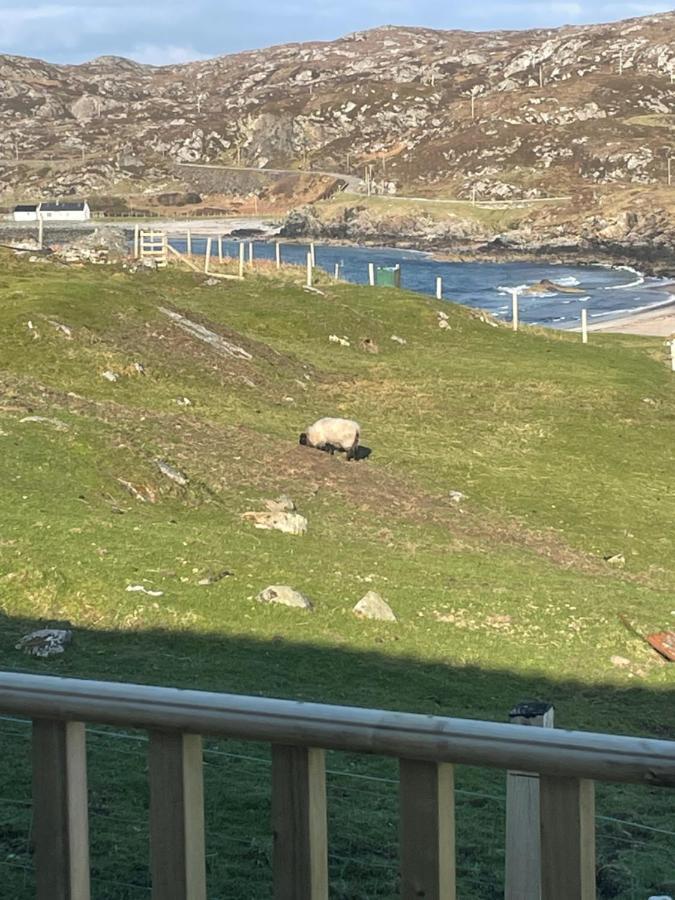 Sea View Cabin Clashnessie Екстериор снимка